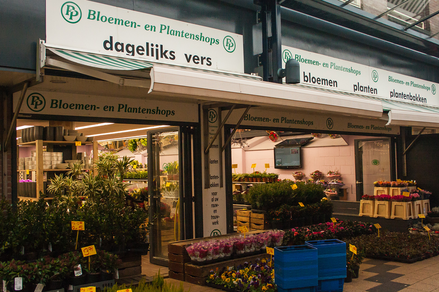 Bloemen- en plantenshops PP - Winkeloverzicht